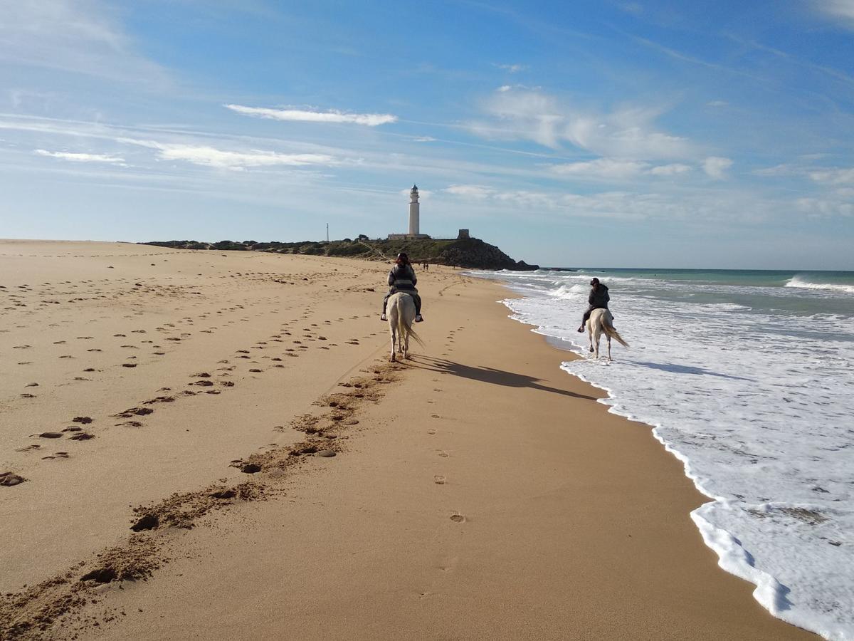 Viviendas Turisticas El Mero Zahora Exterior foto
